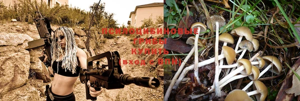 кристаллы Коряжма