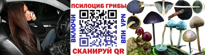 купить наркотики сайты  Мелеуз  гидра   Псилоцибиновые грибы мухоморы 